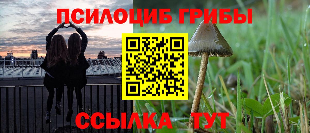 Псилоцибиновые грибы GOLDEN TEACHER  Вход с VPN  Можайск 